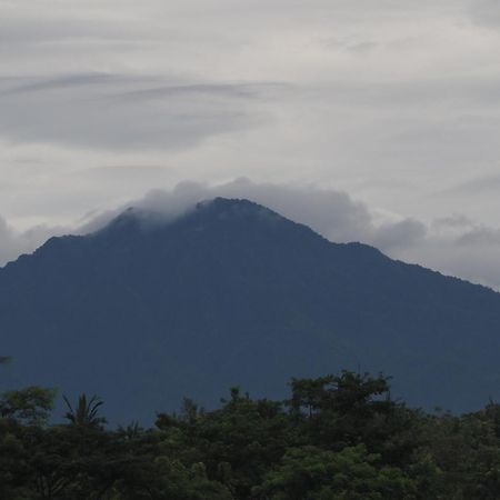 The Gecho Inn Country Jepara Esterno foto