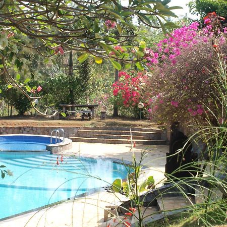 The Gecho Inn Country Jepara Esterno foto