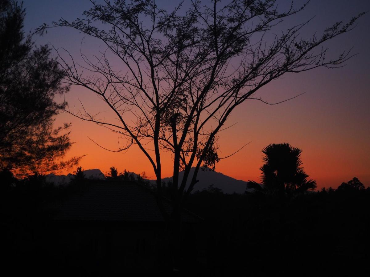 The Gecho Inn Country Jepara Esterno foto