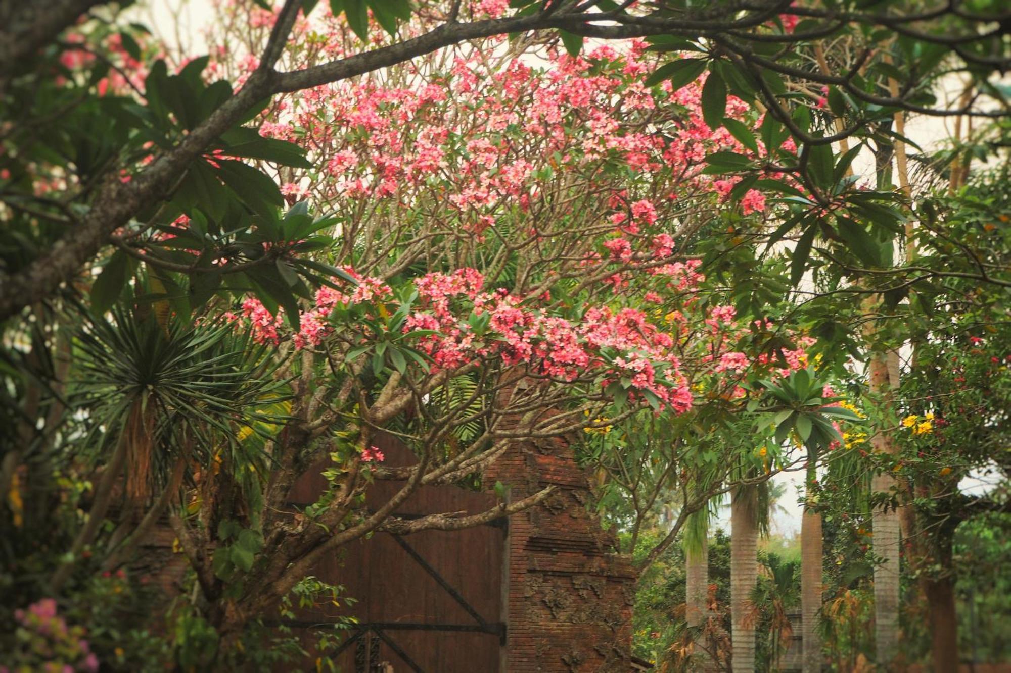 The Gecho Inn Country Jepara Esterno foto