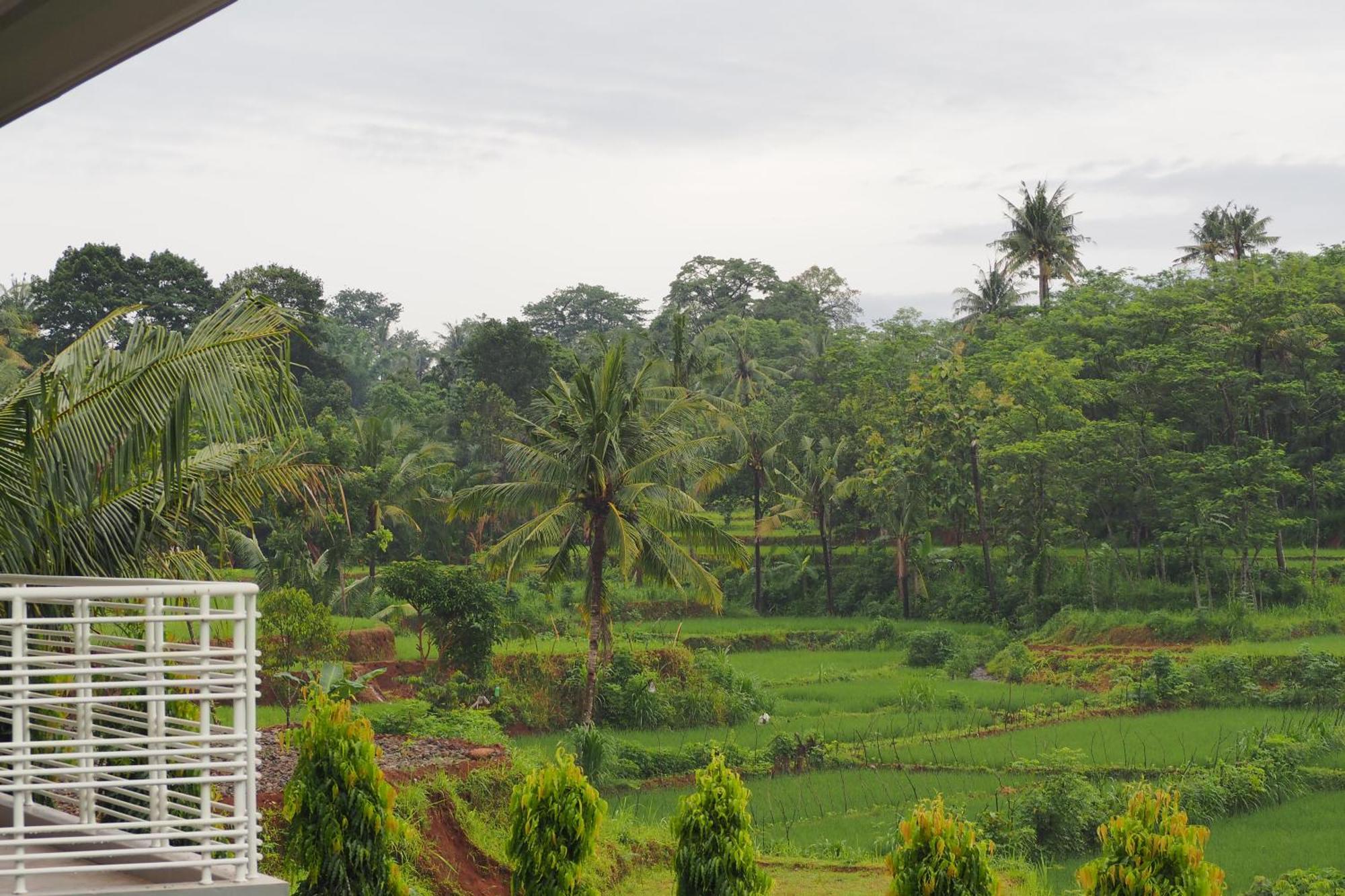The Gecho Inn Country Jepara Camera foto