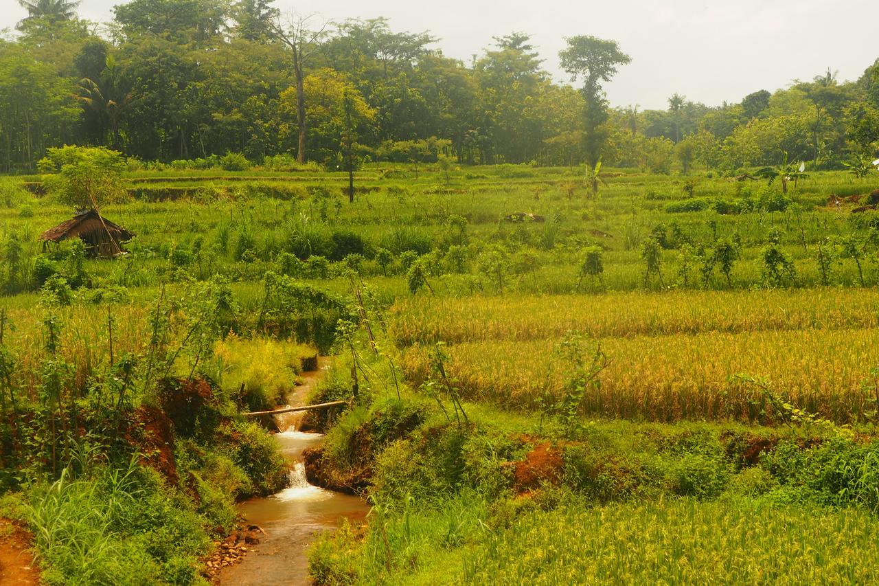 The Gecho Inn Country Jepara Esterno foto