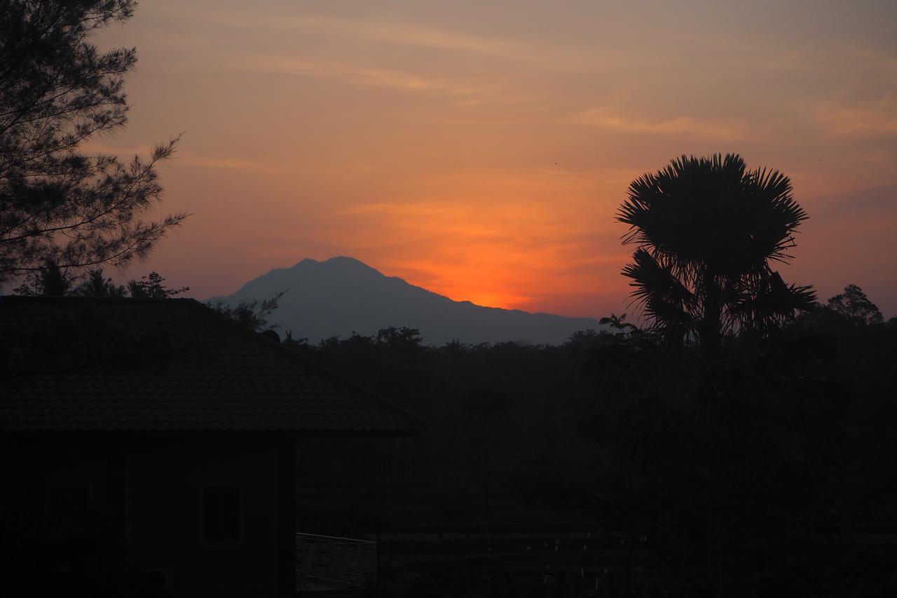 The Gecho Inn Country Jepara Esterno foto